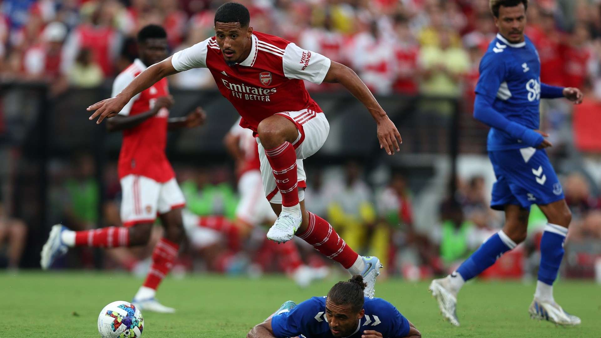 的坎塞洛都 的坎塞洛都